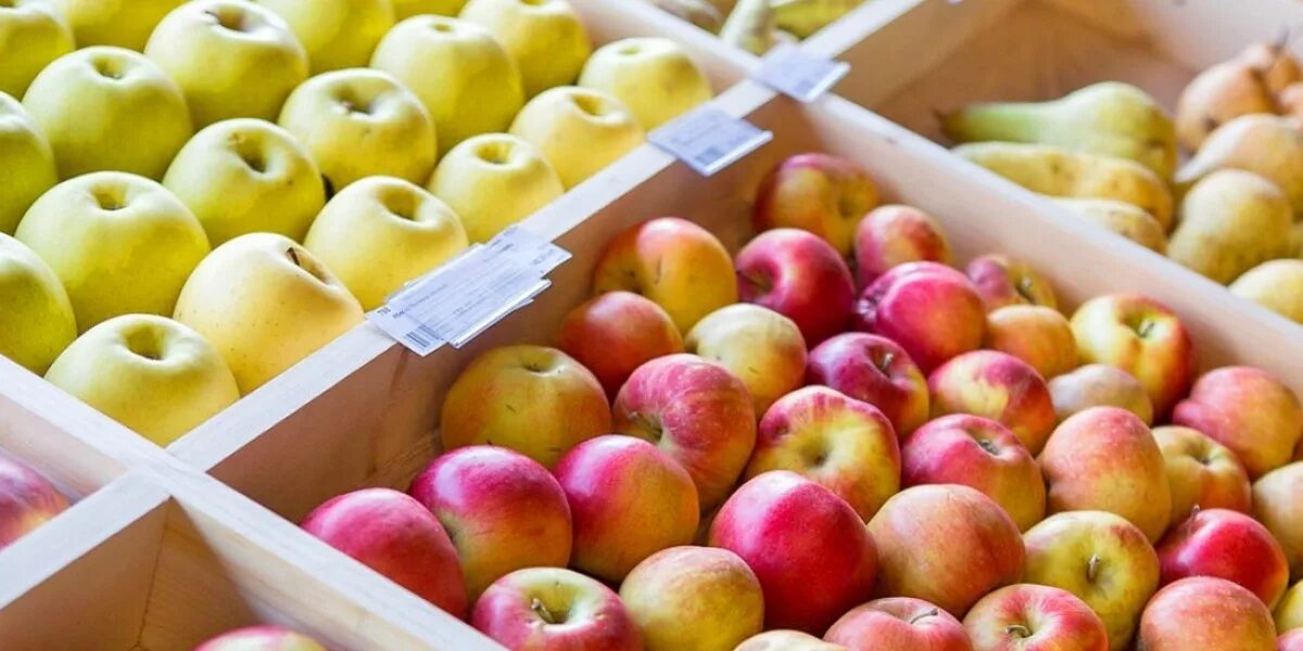 2 apple shop. Яблоки на прилавке. Красивые яблоки. Прилавок с фруктами. Разные яблоки.