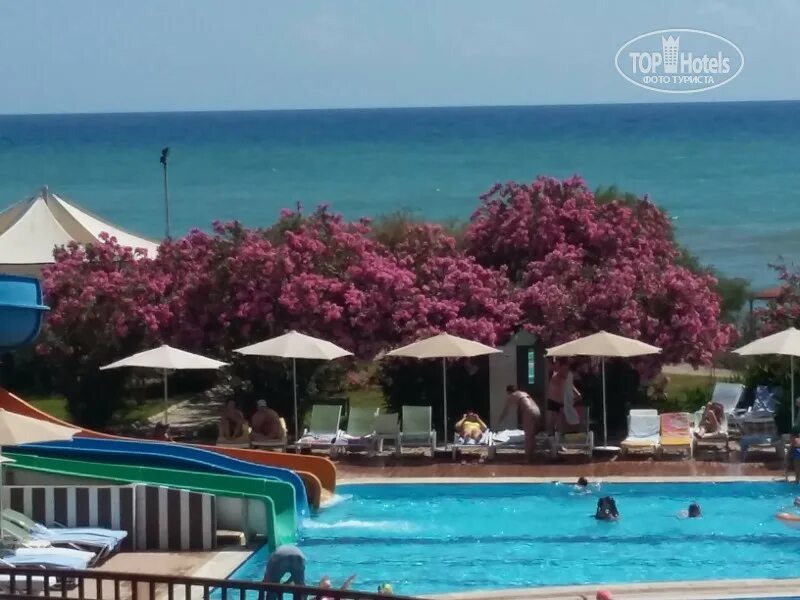 Отель мс бич отзывы. Mc beach park resort. mc beach resort hotel 5. мс бич парк резорт отель турция аланья. mc beach resort (ex. otium mc beach resort; mc beach park resort hotel &amp; spa)2025 park building.