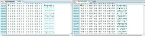 Linux бинарный файл