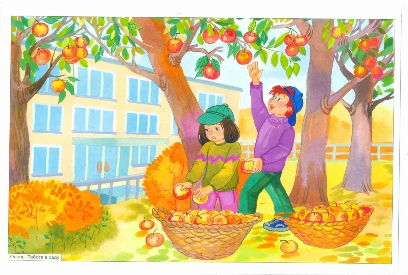 Рисунки на тему сад. Осень в детском саду. Осень для детей в детском саду. Труд людей осенью. Сюжетные картины осень для дошкольников.