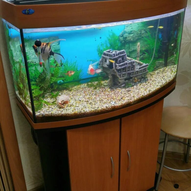Аквариум 140. Аквариум 140л. Аквариум 140 литров. Аквариум 180 литров с тумбой аквас. Аквариум 140 литров.