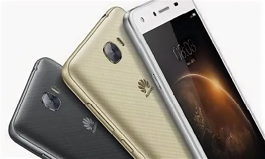 Z 6 y 6