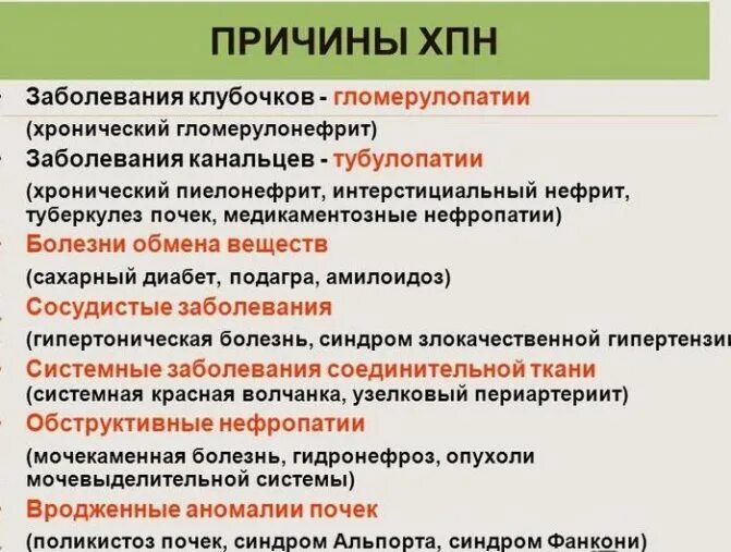 К развитию хронической почечной недостаточности приводит. ХБП причины развития. Причины развития ХПН. Хроническая почечная недостаточность причины.