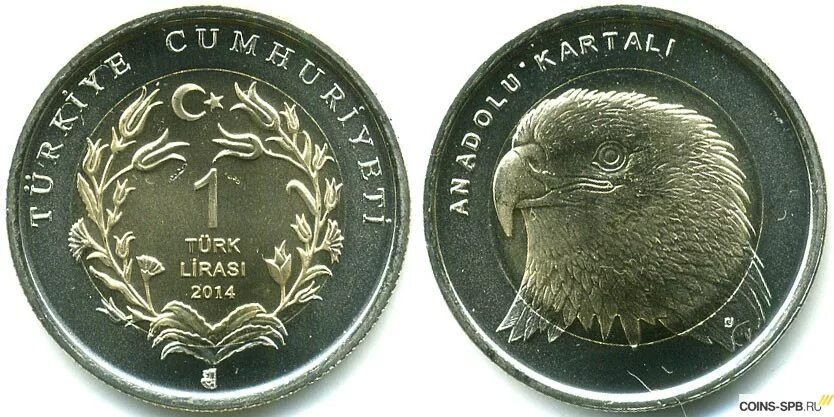 Lira ruble. Обменник турецкие лиры на рубли. Деньги рубли. Турецкий рубль к российскому. Турецкие деньги валюта.