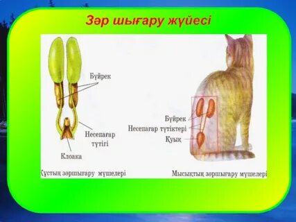 Аннаның жалаңаш суреті