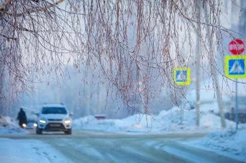 Температура в бердске