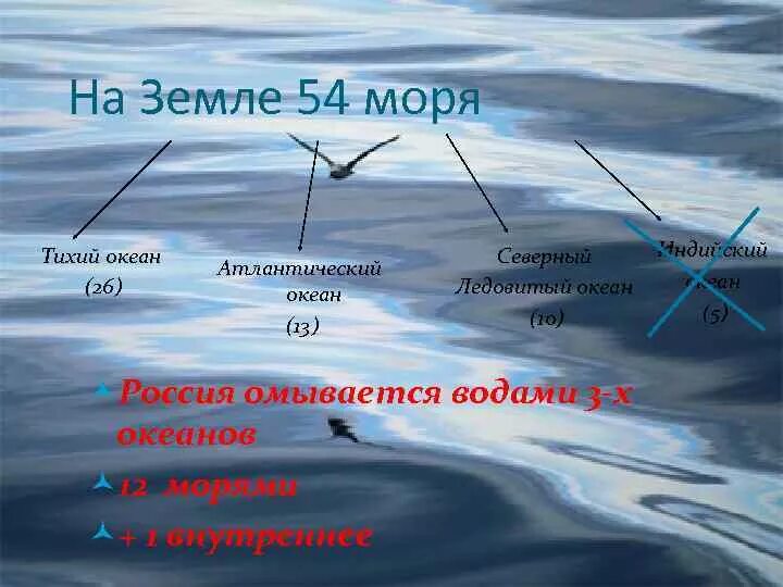 Количество морей в океанах. Название океанов и морей на земле. Моря Атлантического океана омывающие Россию. Моря нашей планеты список. Моря Тихого океана омывающие Россию.