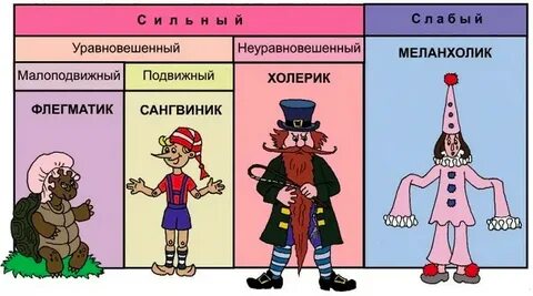Тип темперамента человека 9 букв сканворд