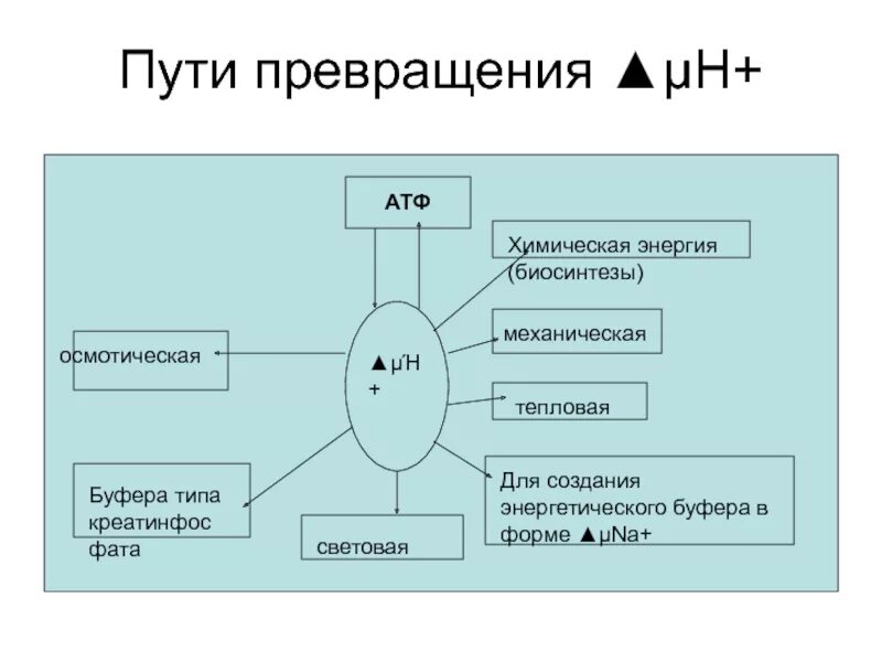 Использование атф. Химическая энергия это атф. схема использования атф в организме. использование энергии атф. пути использования энергии атф.