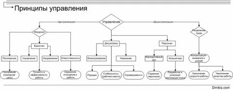 Принципы менеджмента организационная структура
