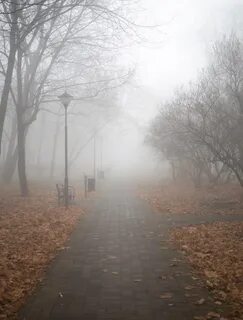 Осенний туман в глазах