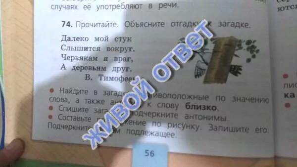 Слова стук и сток по своему. Далеко мой стук слышится вокруг червякам я враг а деревьям друг. Далеко вокруг слышится мой стук загадка. Загадка червякам я враг а деревьям друг. Загадки для 2 класса далеко вокруг слышится мой стук.