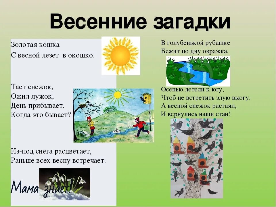 Весенние загадки для 2 класса. Загадки про весну. Загадки о весне для 2 класса. Была белая и седая пришла зеленая молодая