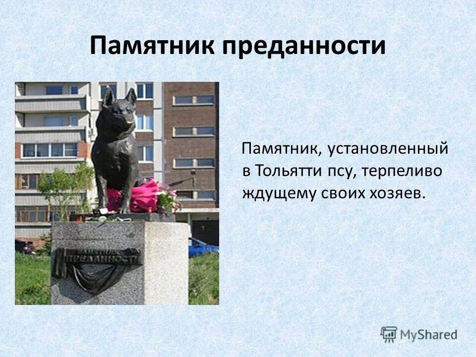 лопатино школа. школа преданности. школа 37 города бреста. памятник преданности тольятти. гимназия 9 шадринск учителя.