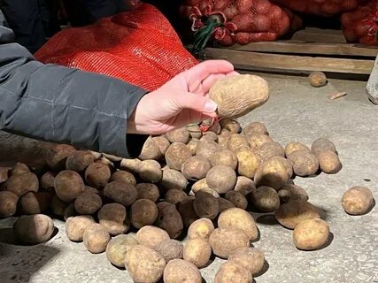 Үйде жасалған шұлықтардың фотосуреттері