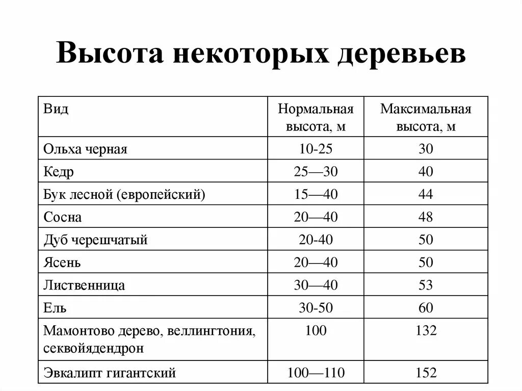 Деревья по возрасту таблица Сколько лет живут деревья (таблица)