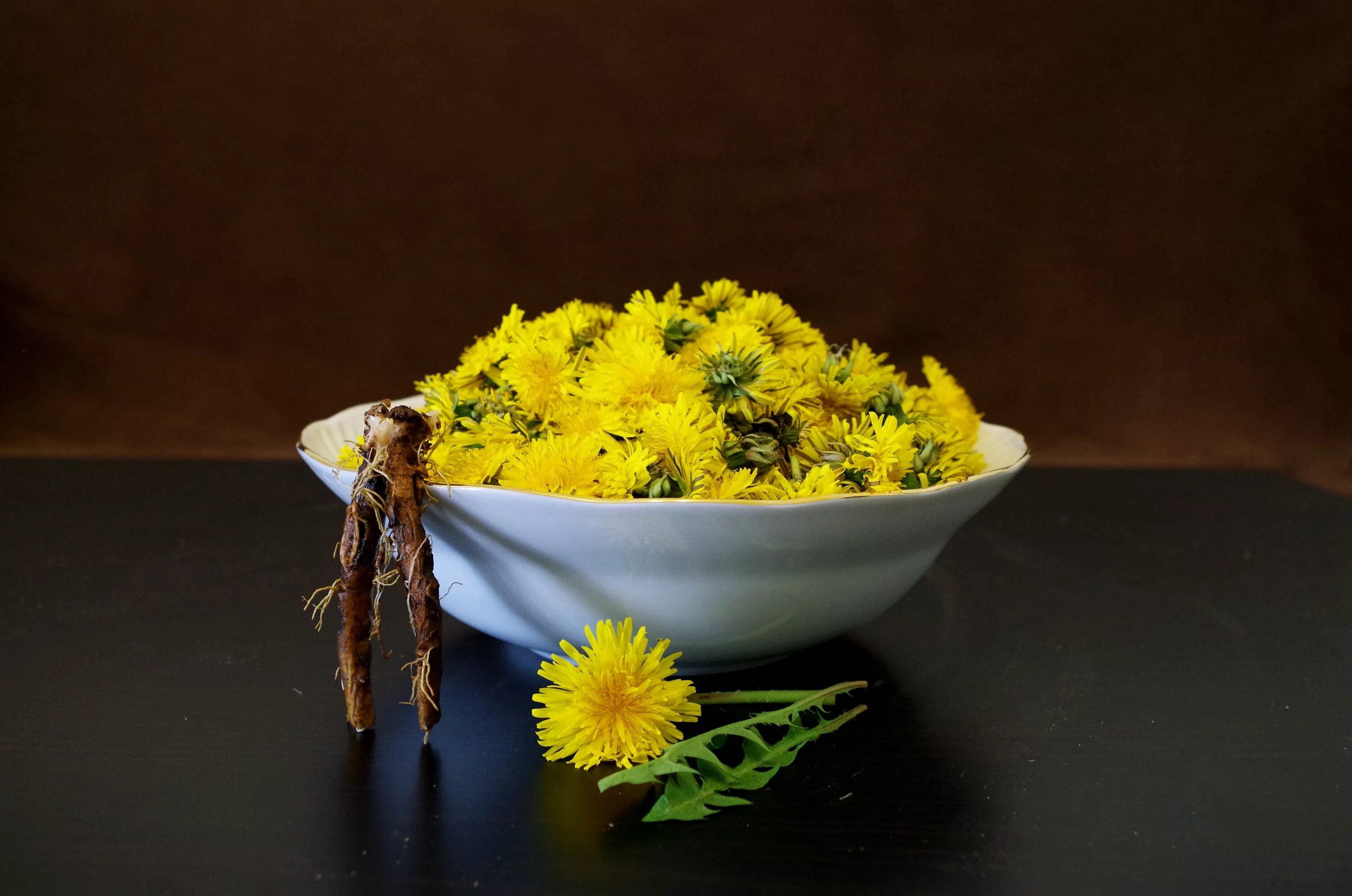 Как использовать цветы одуванчика. Одуванчик лекарственный – taraxacum officinale. букет одуванчиков. натюрморт с одуванчиками. блюда из одуванчиков.