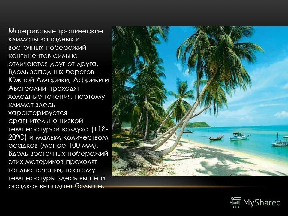 Остров лорд-хау австралия. Тропический пляж. Остров суматра. Тропический западных побережий. Джунгли «цзяньфэнлин».