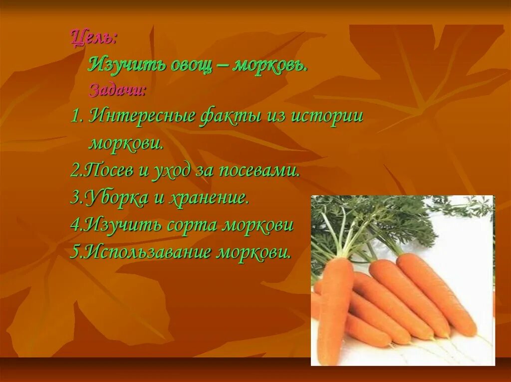Морковь 2 класс. Доклад про морковь. факты о морковки. интересные факты о морковке. морковь для презентации.