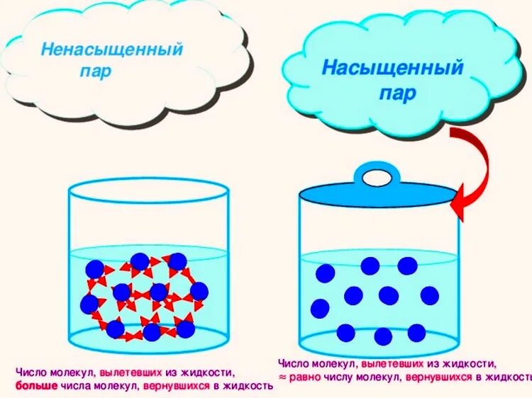 Чем отличается вода от пара