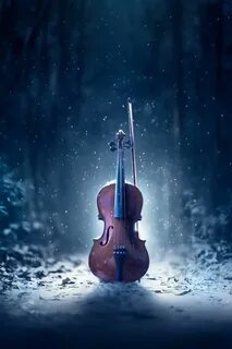 Violin last