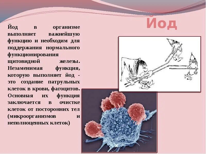 Влияние йода. Функции йода в организме человека. Значение йода в организме человека. Йод и его функции в организме. Функции йода в живом организме.