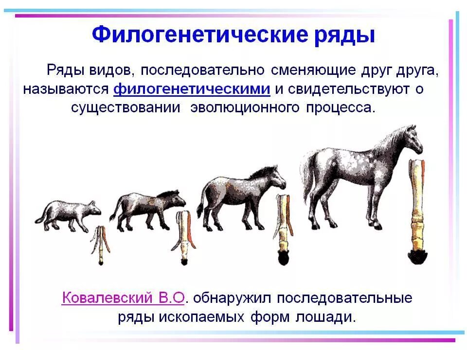 В чем заключается значение процесса рост