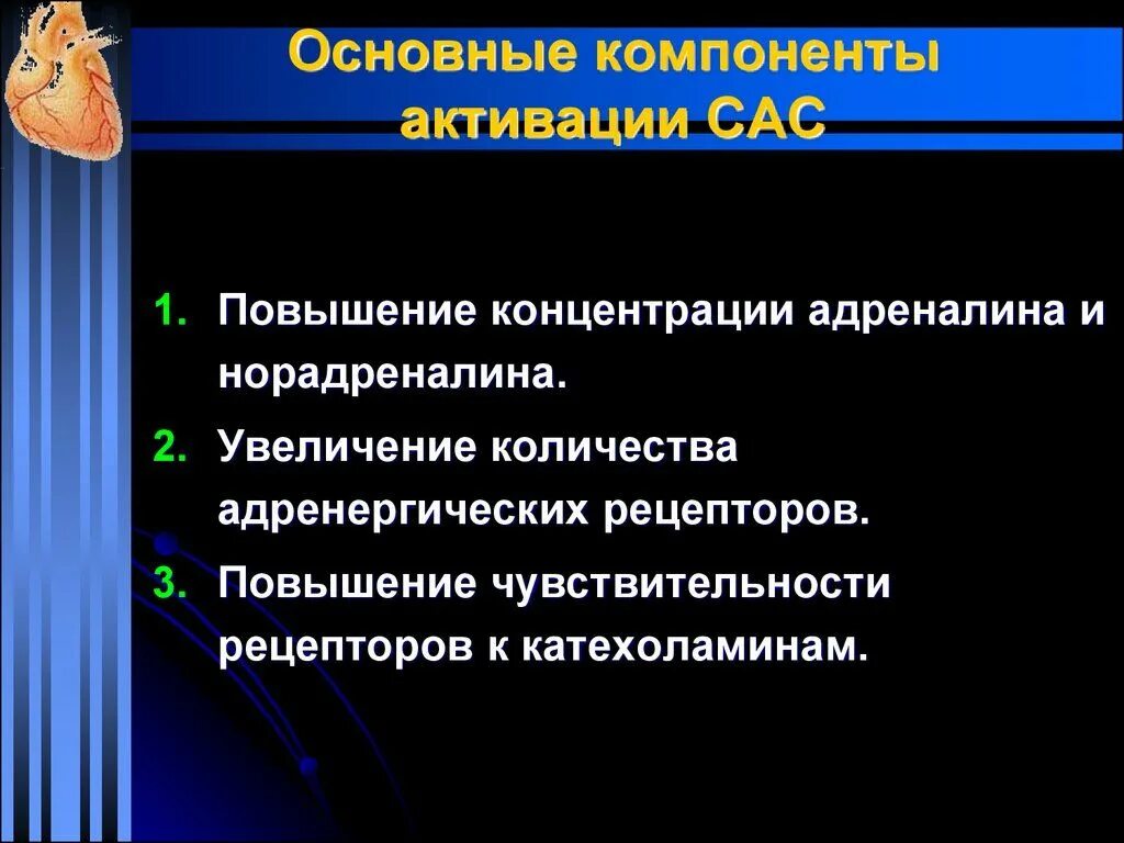 Сас в медицине. САС система медицина. Активация САС. Причины активации САС. Активация САС при шоке.