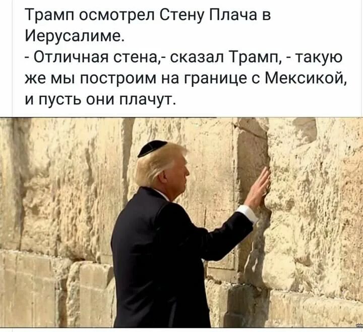 Шутки про нелегалов. Трамп демотиватор. Трамп приколы. Анекдоты про трампа. Анекдоты про трампа.