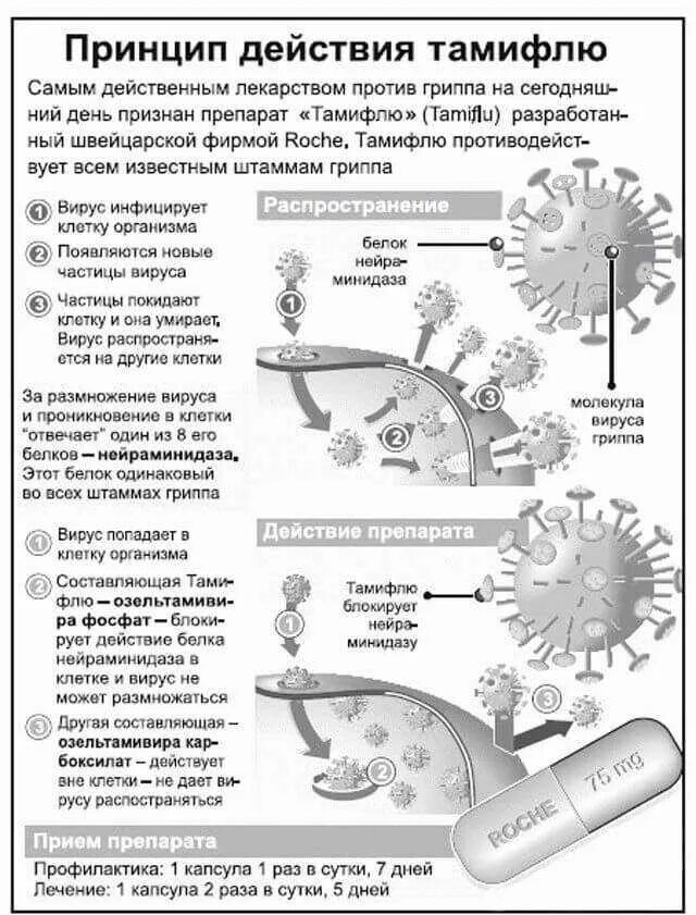Против вирусов гриппа. Противовирусные препараты тамифлю. антивирусный препарат тамифлю. лекарство против гриппа тамифлю. тамифлю производитель лекарства.