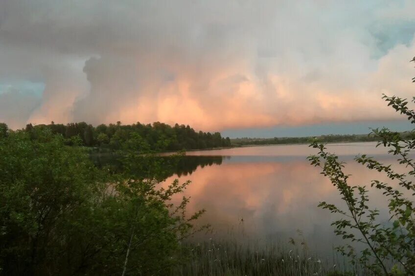 Озеро карабожа мошенское. База отдыха медовец новгородская. Мошенское озеро. Мошенское медовец. Озеро карабожа новгородская область.