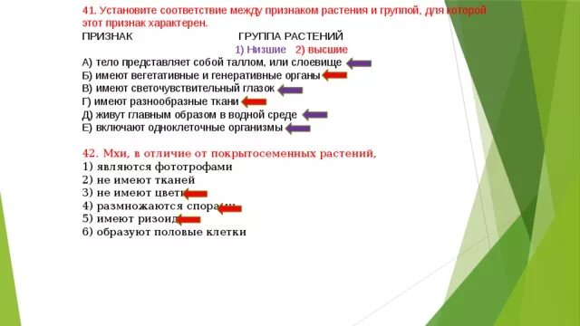 Установите соответствие между признаком ящерицы. Установите соответствие между признаками и группами растений.. Установите соответствие характерные особенности растения. Установите соответствие между характеристиками и группами растений. Установите соответствие между признаками и отделами растений.