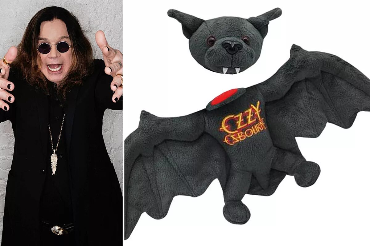 Оззи мышь. Оззи осборн летучая мышь. оззи осборн мышь. ozzy osbourne летучая мышь. оззи осборн откусил голову летучей мыши.