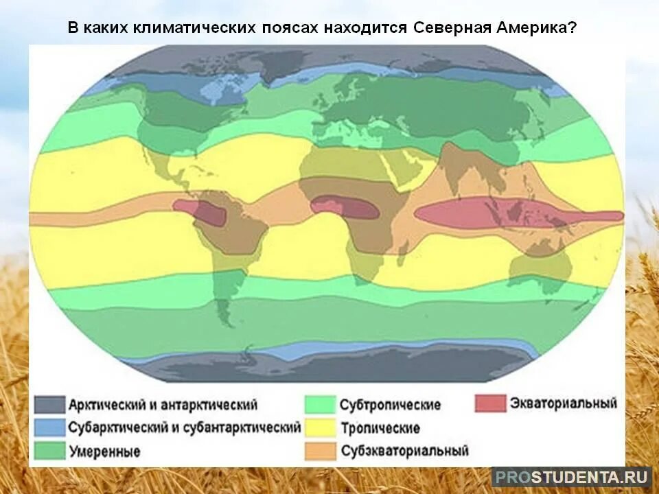 Тропические и умеренные зоны