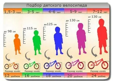 5 лет какой диаметр колес велосипеда выбрать