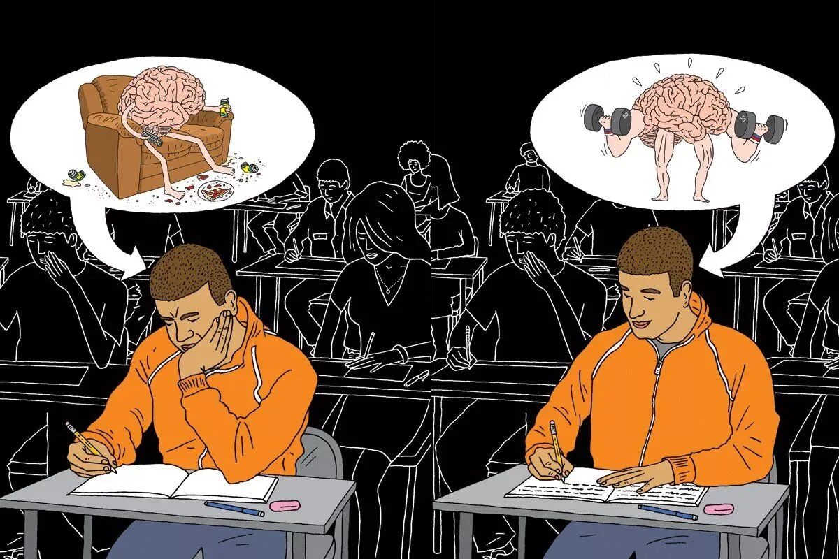 Мозги не делай. Работоспособность человека. Умственная работоспособность. Умственная работоспособность человека. Физическая и умственная работоспособность.