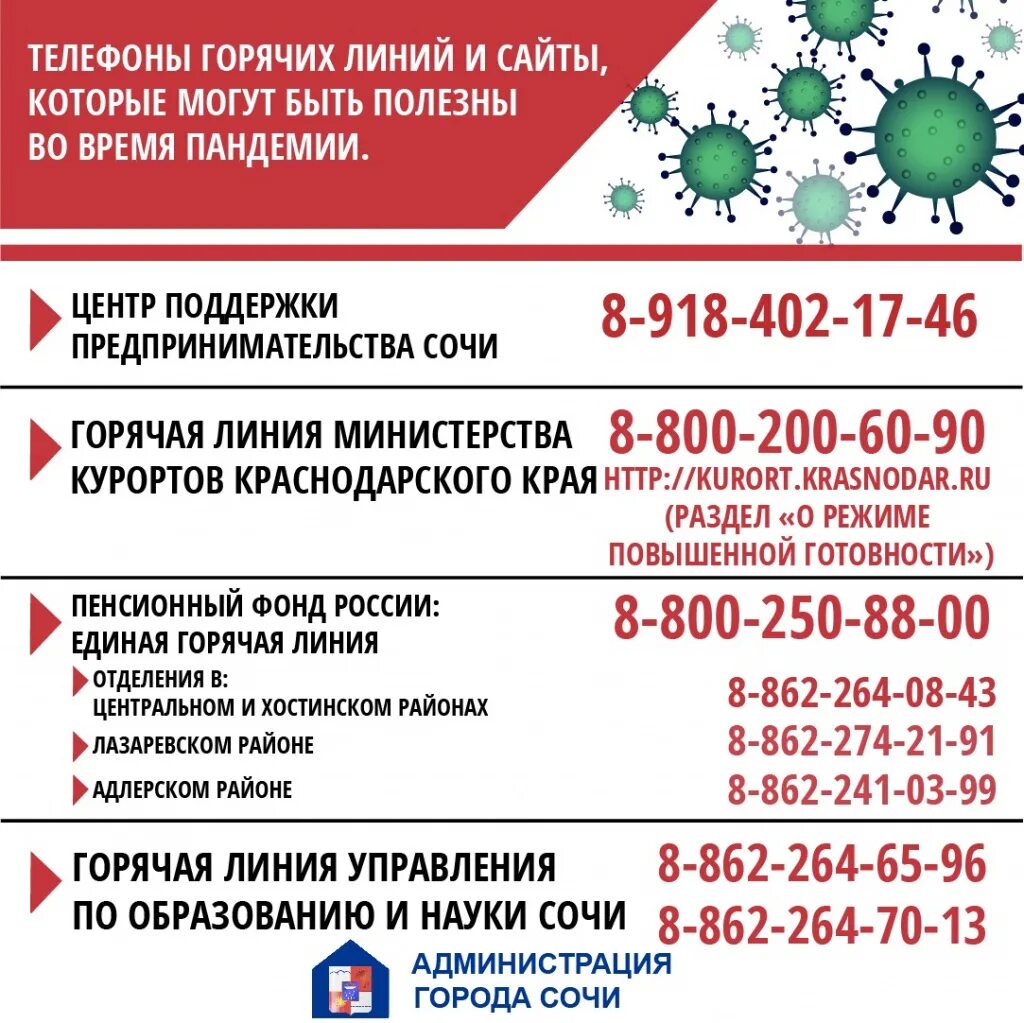 Все горячие линии россии. Телефон горячей линии. Горячая линия администрации. Номера телефонов горячих линий России. Горячая линия Сочи.