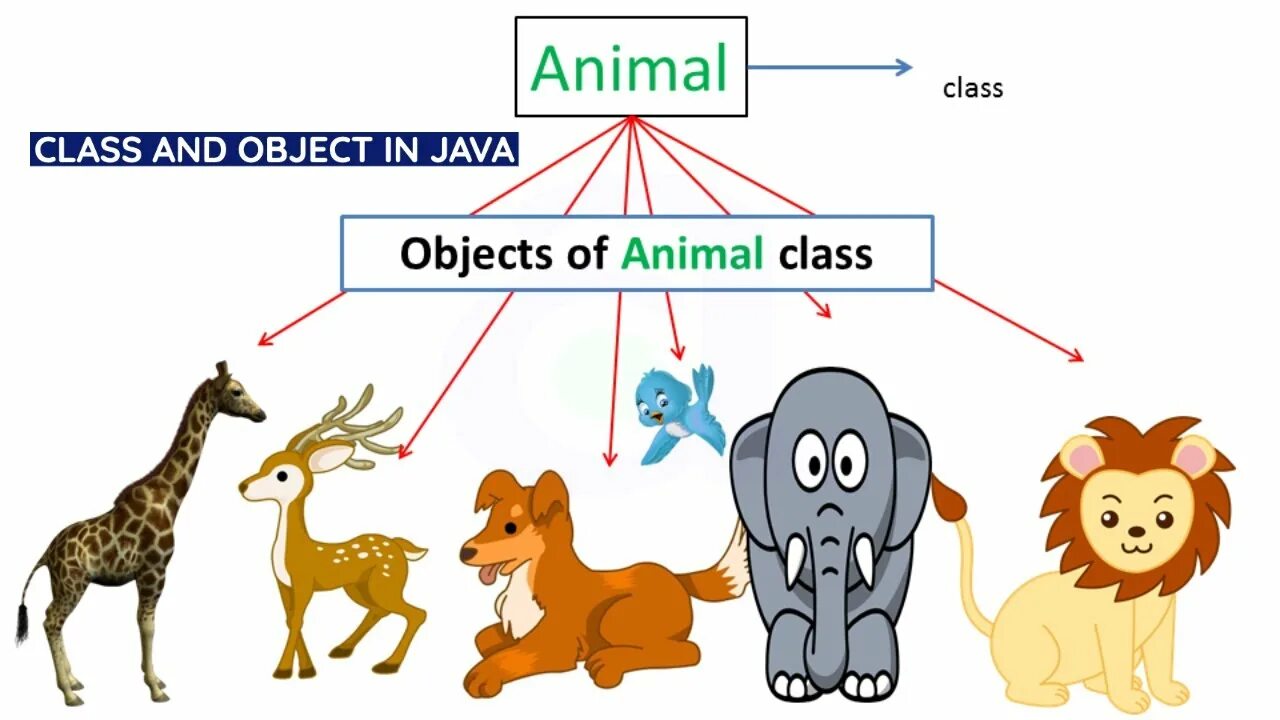 Class animals. Class object oop. classes of animals. класс animal java. абстрактный класс animals java.