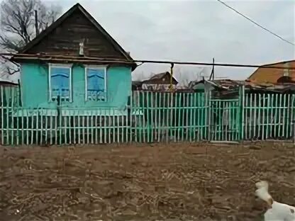 Авито володарском районе