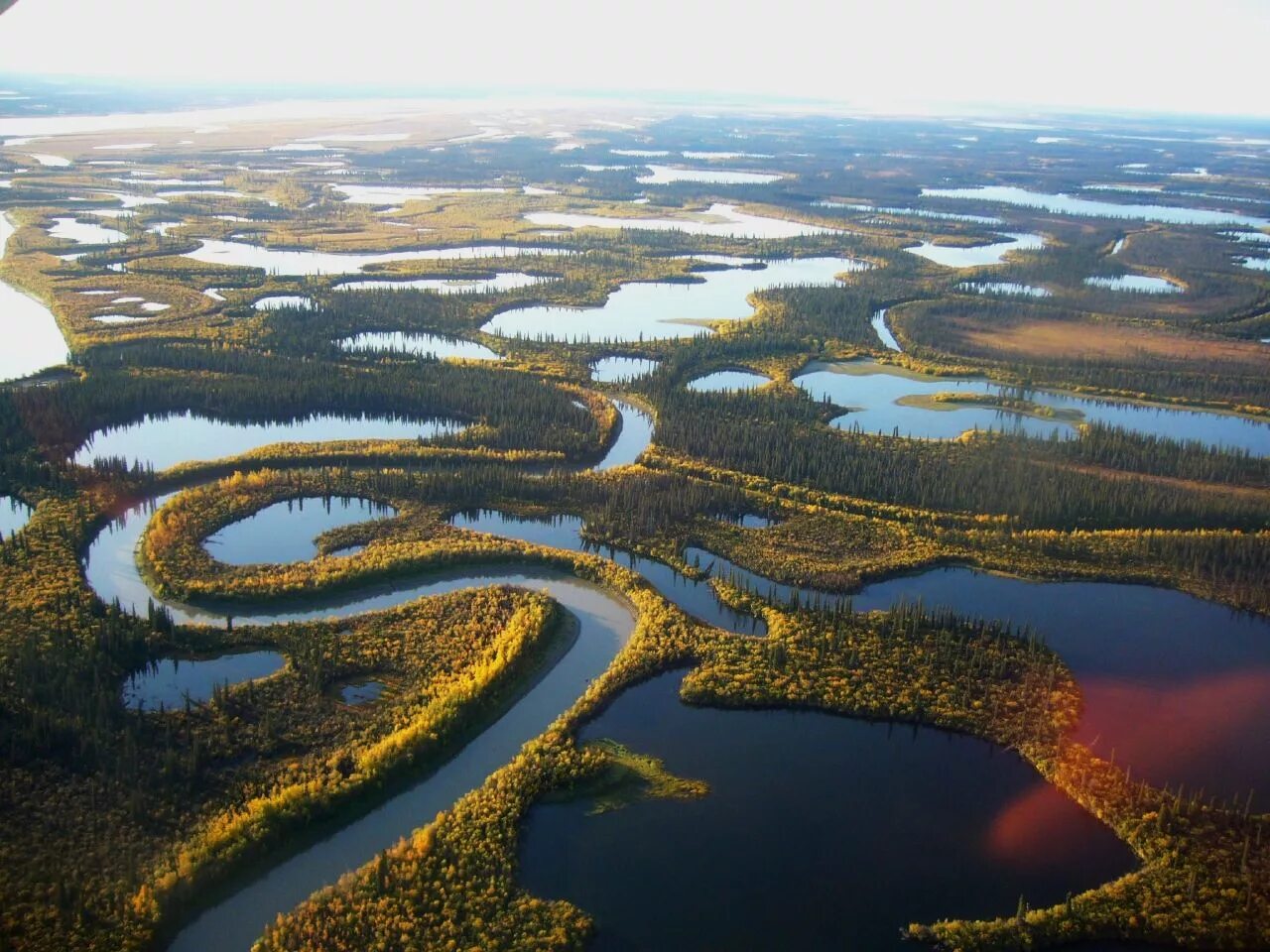 Приток крупнейшей реки северной америки. Река Маккензи Канада. Северная Америка река Маккензи. Дельта реки Маккензи. Устье реки Маккензи.