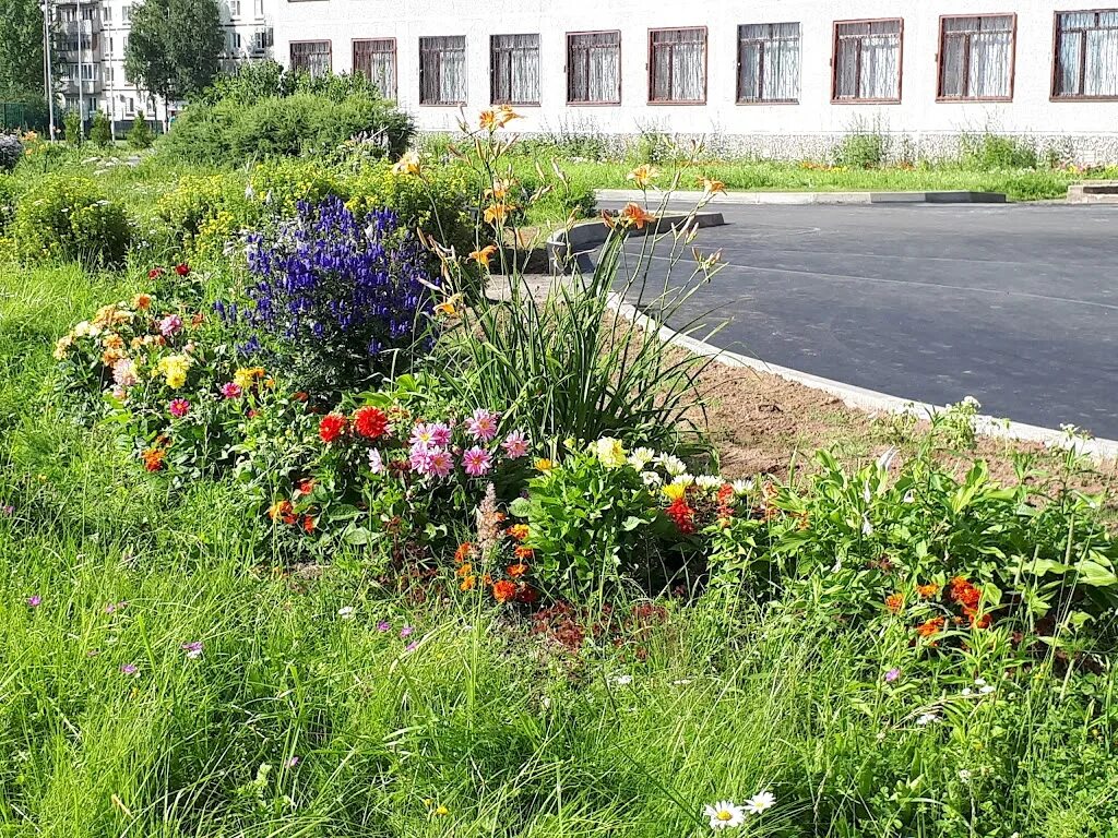 Лицей кириши. Киришский лицей 9. Киришский лицей. Учителя кириши лицей. Киришский лицей 9.