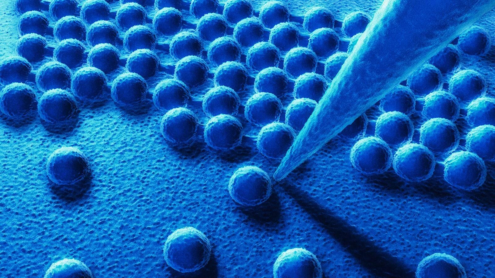 молекула под микроскопом. молекулы подмикроскомом. электрон под электронным микроскопом. реальные молекулы. моекулапод микроскопом.