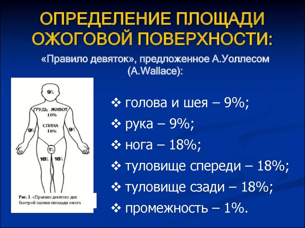 Площадь поражения при ожогах. Измерение площади ожогов. Способы определения площади ожога. Площадь ожоговой поверхности.