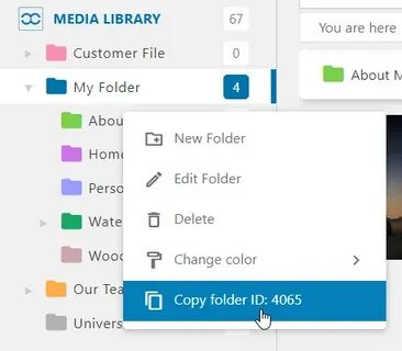 Folder id