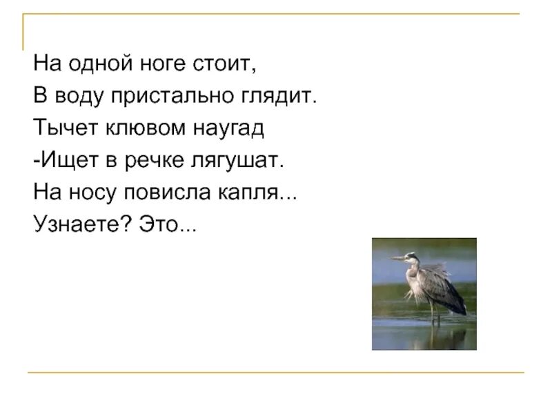 На одной ноге текст. На одной ноге текст. Тычет клювом наугад ищет клювом. Крестьянин на одной ноге. Почему цапля стоит на одной ноге.