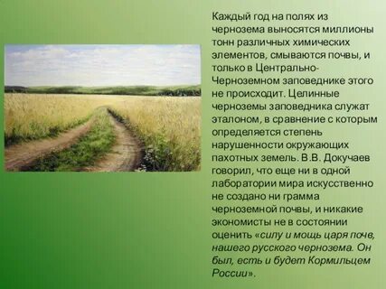 Почвы курского края