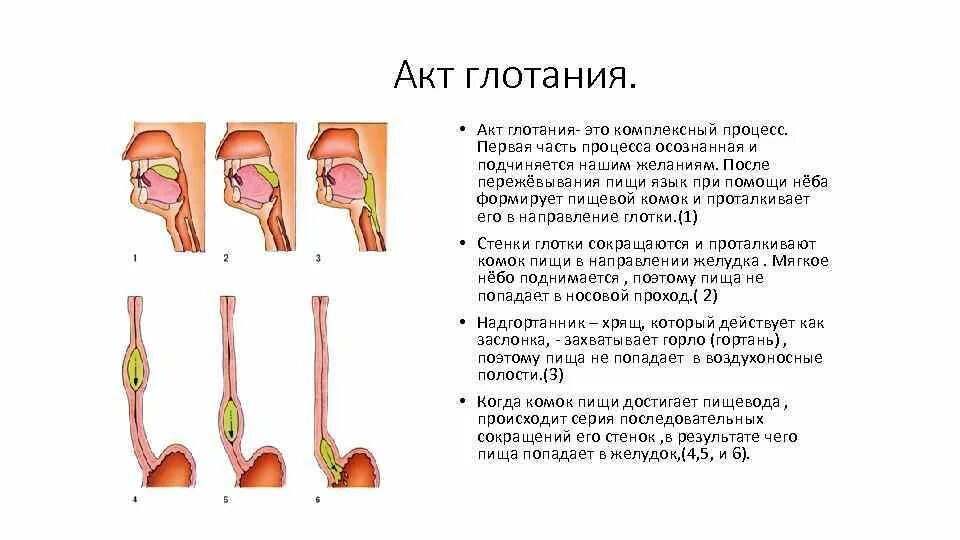 Как происходит поступление