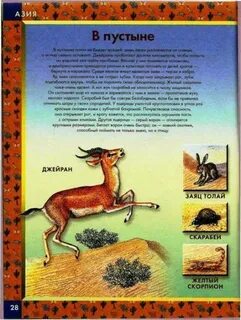Книги о пустыне