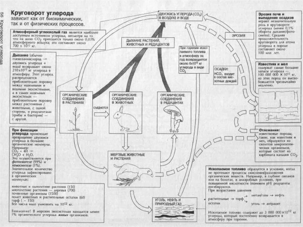 углекислый газ получение в промышленности. углекислый газ растворимость в воде. прибор для измерения углекислого газа. получение углекислого газа. углекислый газ растворяется в воде.
