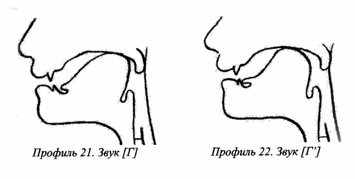 Артикуляция г. Артикуляция звука г и гь. Артикуляционный профиль звука гь. Профили артикуляции заднеязычных звуков. Правильная артикуляция звука гь.